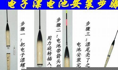 电子夜光漂内部结构图(电子夜光漂什么牌子的质量好)_https://www.hn-life.com_上交所_第1张