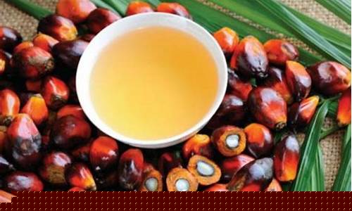 棕榈油期货交易(棕榈油期货交易时间)_https://www.hn-life.com_上交所_第1张