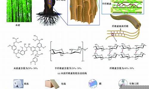 木质素纤维与木质素区别(木质素与纤维素的区别)_https://www.hn-life.com_上交所_第1张