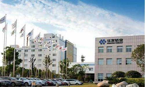 华友钴业财经直播(华友钴业上央视财经)_https://www.hn-life.com_上交所_第1张