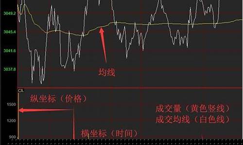 期货直播看盘技巧图解大全(期货分时看盘的58个技巧)_https://www.hn-life.com_北交所_第1张