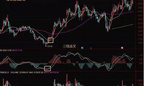 安静的投机者股市直播(安静投资)_https://www.hn-life.com_北交所_第1张