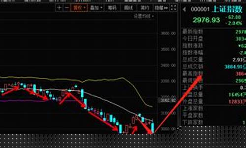 丰哥侃股市直播(股市每日侃直播)_https://www.hn-life.com_创业板_第1张